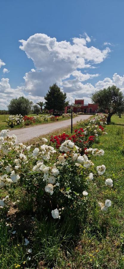 Bed & Breakfast Villa Michela Alezio Εξωτερικό φωτογραφία
