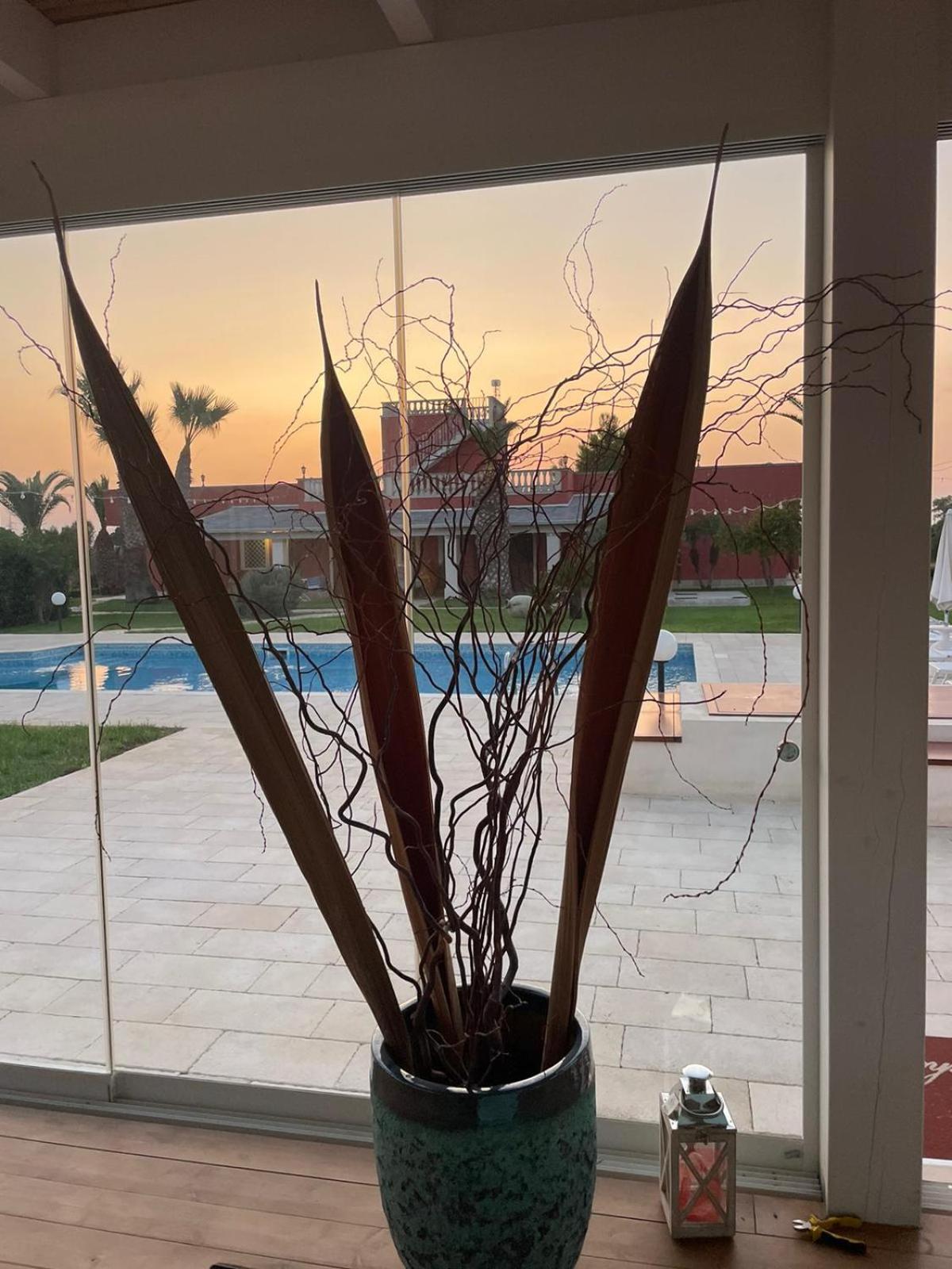 Bed & Breakfast Villa Michela Alezio Εξωτερικό φωτογραφία