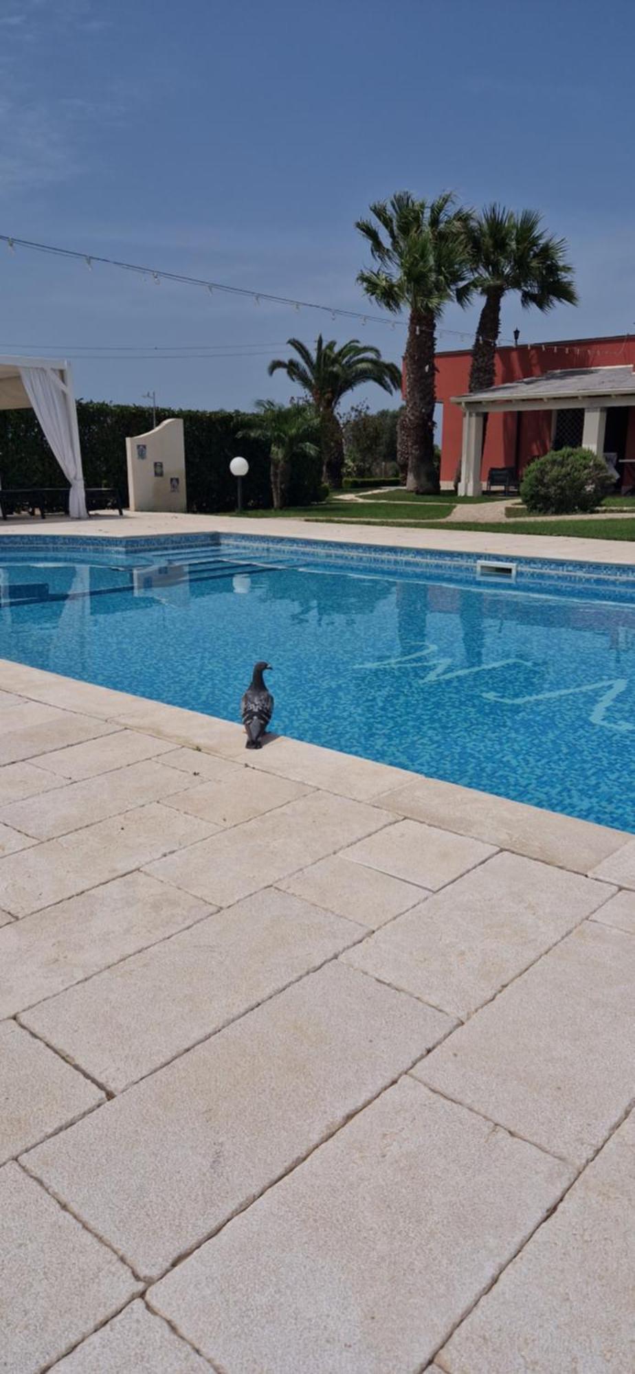 Bed & Breakfast Villa Michela Alezio Εξωτερικό φωτογραφία